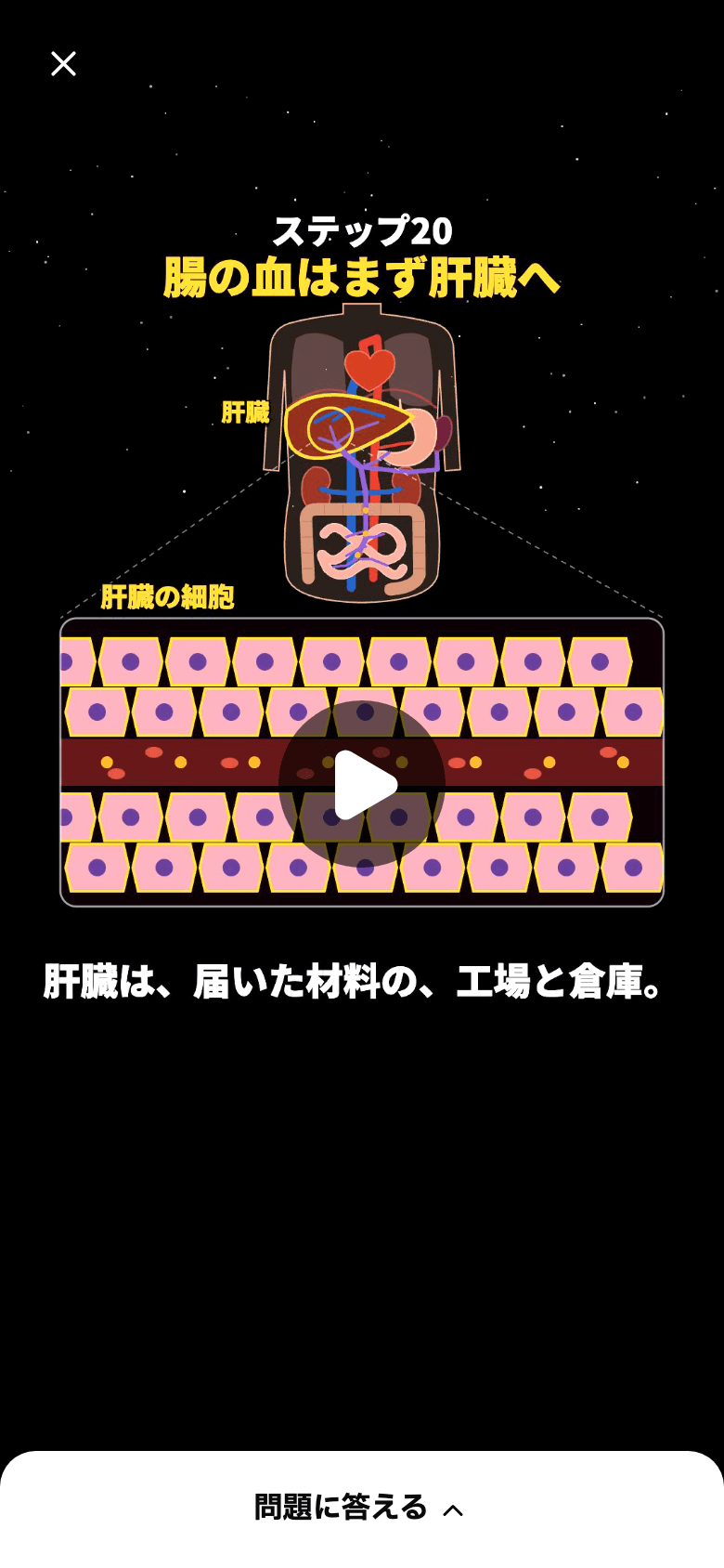 原則の動画の画面。上に「ステップ20 腸の血はまず肝臓へ」、体の中の肝臓から細胞の並びへ拡大した絵と、字幕「肝臓は、届いた材料の、工場と倉庫。」